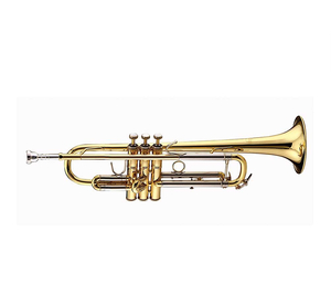 Труба "Bb" Bach VBS1