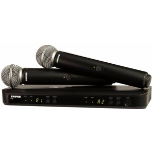 Беспроводная система Shure BLX288E/PG58 M17