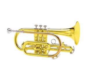Корнет King 605W